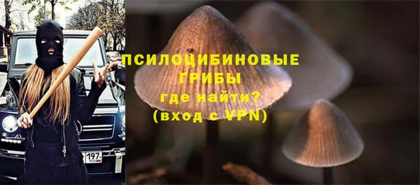 мет Баксан
