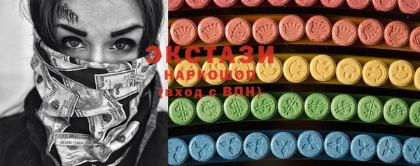 шишки Снежногорск