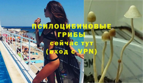 мет Баксан