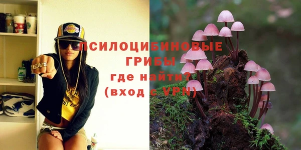 ECSTASY Балахна
