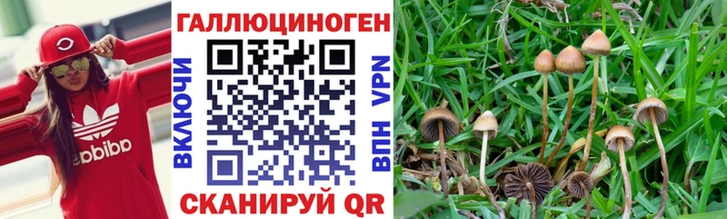 магазин продажи Горнозаводск MEGA сайт Галлюциногенные грибы MAGIC MUSHROOMS